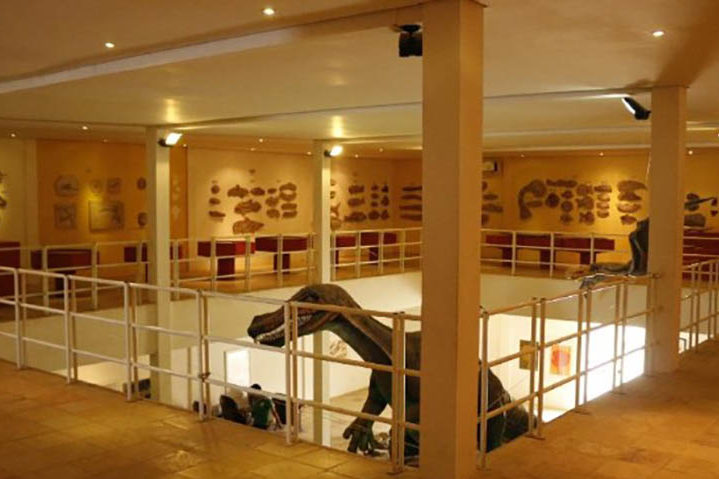 O museu, fundado em 1985, tem 7 mil itens, incluindo vegetais e animais petrificados. E mantém uma videoteca com material audiovisual que auxilia na pesquisa. 