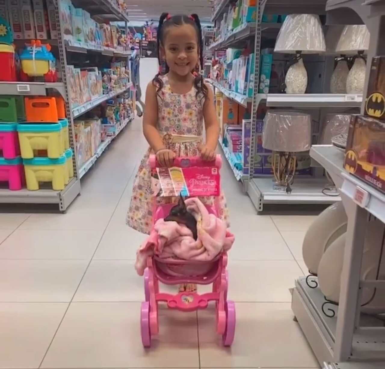 As filmagens bombaram e logo tiveram muitas visualizações. Em seguida, Helena recebeu elogios de internautas.