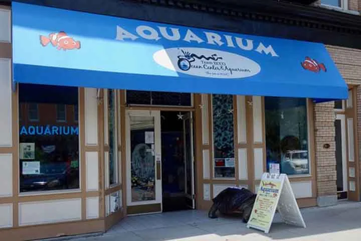 O caso aconteceu no Aquarium and Shark Lab, em Hendersonville, no estado da Carolina da Norte. 
