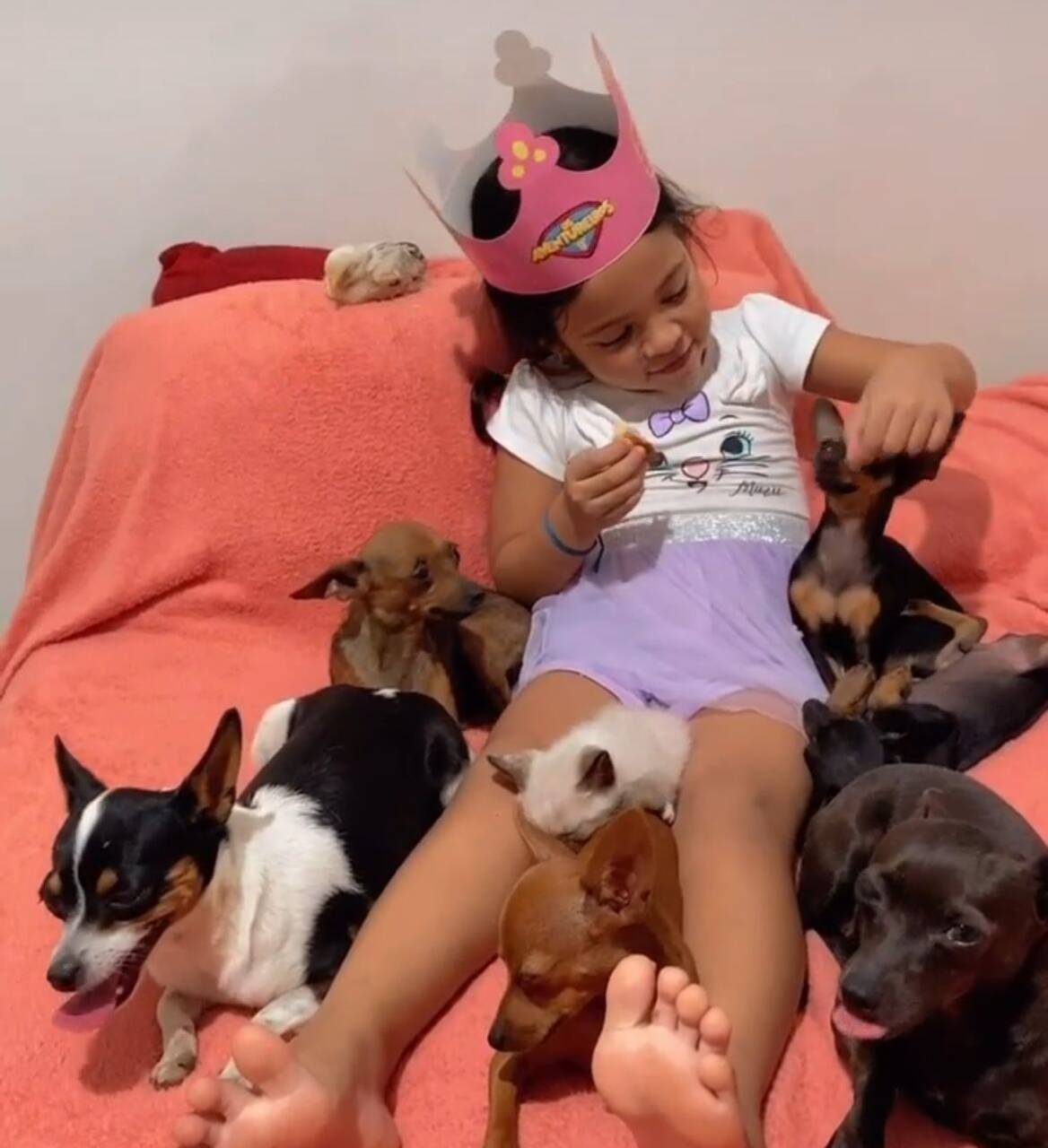 O segredo de Sophia para acalmar os bichinhos? Cantar, como ela mesmo contou à Gazeta do Acre.