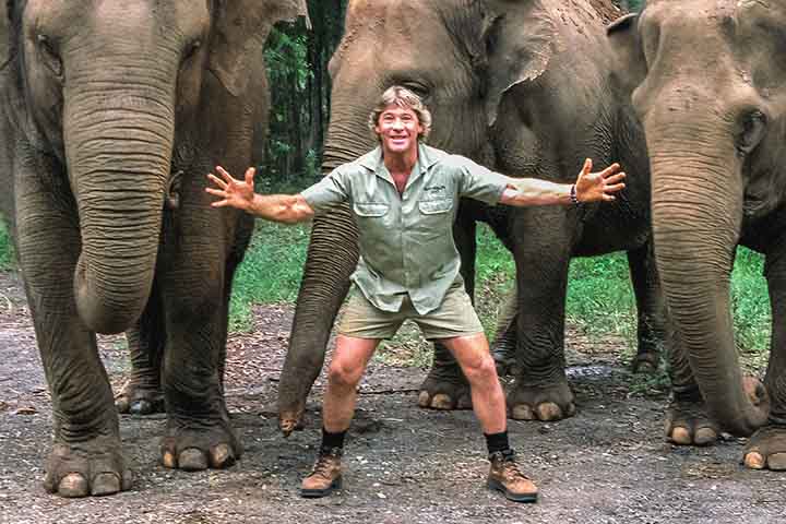 Em 2006, o apresentador australiano de TV Steve Erwin perdeu a vida ao ser atingido pelo ferrão de uma arraia.

