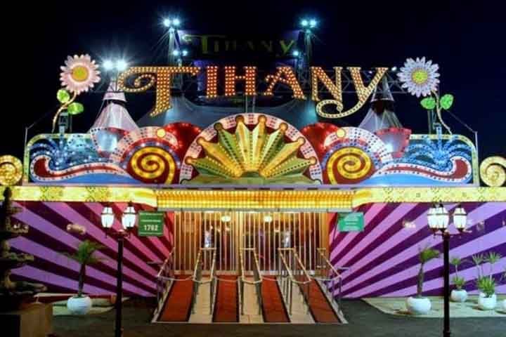 Diante disso, os palhaços trazem humor, enquanto os acrobatas e malabaristas impressionam pela destreza perante o público. Os mágicos, por sua vez, encantam com ilusões de ótica, e os domadores, atualmente menos comuns, exploravam o fascínio por animais treinados.