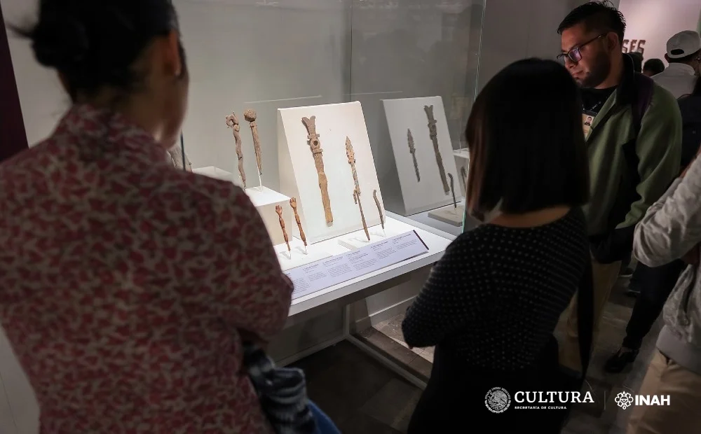 Um espaço selado, forrado com filmes plásticos, foi equipado com umidificadores e dataloggers (registradores de dados) para ler e controlar, a todo momento, a umidade relativa dessa representação ancestral da serpente.