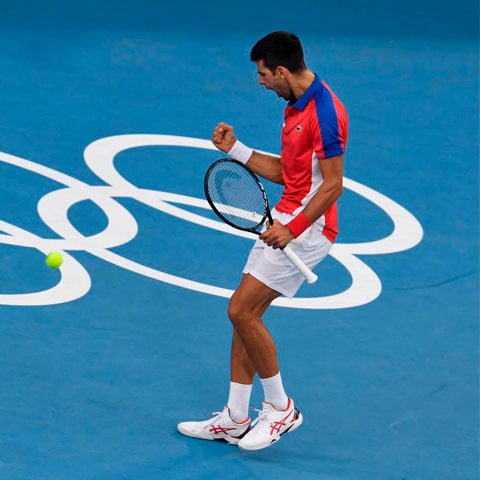 Além de sua língua-mãe, Djokovic fala outros quatro idiomas:  alemão, inglês, francês e italiano. 