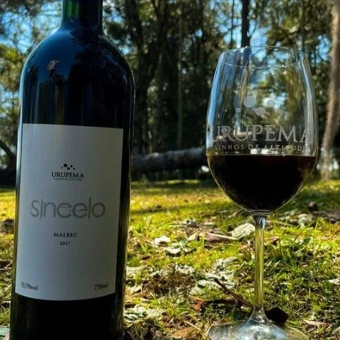 Estava faltando alguma coisa a esse passeio, certo? Claro, vinho! Na Araucária’s Café Gastrobar, a seleção é de vinhos locais, de Urupema e São Joaquim.