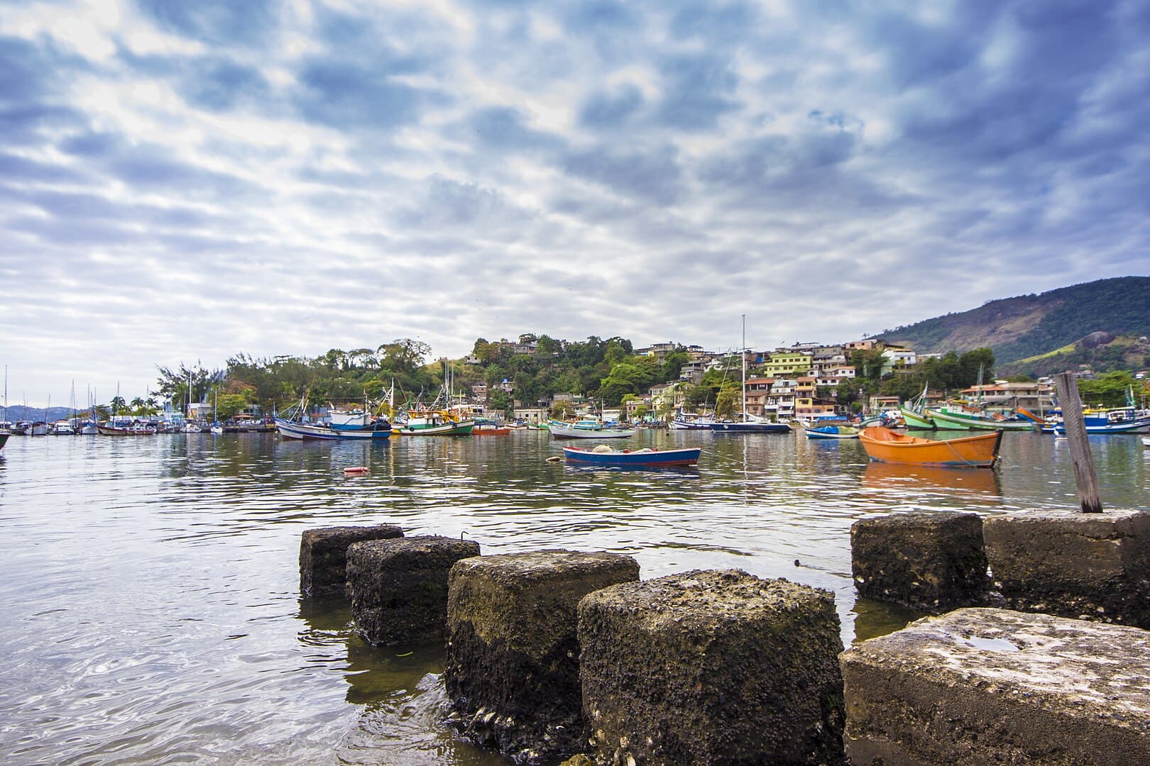 Em 2016, o bairro de Jurujuba, conhecido pela intensa atividade pesqueira, recebeu os primeiros mosquitos modificados em laboratório para uma ação contra a dengue em Niterói. Moradores acharam estranho quando souberam que autoridades de saúde estavam soltando um bocado de mosquitos pela rua. No entanto, era o mosquito do bem.