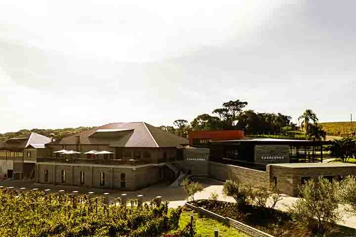 No local também há wine bar, restaurante e hospedagem nas charmosas cabanas da Villa Casacorba. Um refúgio de luxo e sabor no coração de uma região pouco explorada.