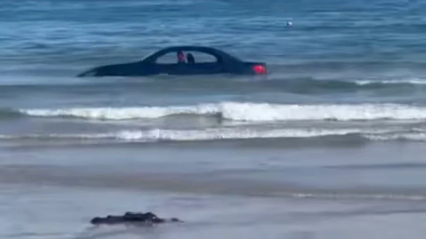 Inspirado nesse caso insólito, o FLIPAR mostra os carros mais caros do mundo, que fazem o BMW parecer fichinha.  O levantamento foi feito pelo site especializado Notícias Automotivas