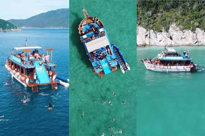 Durante o trajeto, é comum avistar golfinhos e, com sorte, até orcas. Algumas embarcações oferecem serviço de bordo com petiscos e bebidas, tornando a experiência ainda mais especial.