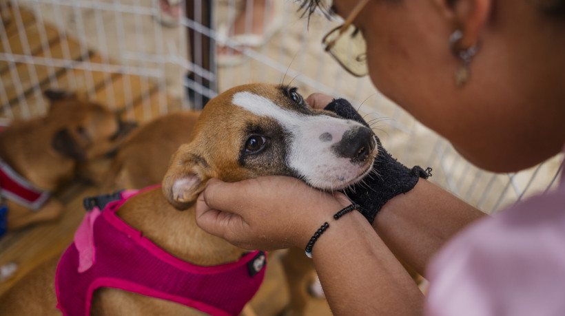 Projeto idealizado por estudantes da UNIC promove atividades abertas ao público com arrecadação de doações para a ONG Abrace
