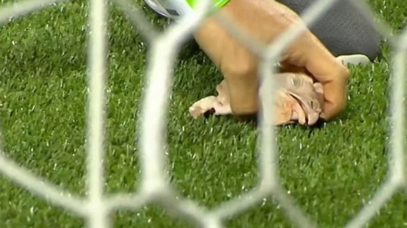 Clássico vem sendo marcado por provocações; Verdão levou a melhor no confronto pela terceira rodada do Campeonato Brasileiro