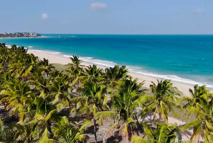 A construção de um muro de 576 metros na Praia de Maracaípe, uma das mais famosas do litoral de Pernambuco, tem gerado debates na internet.