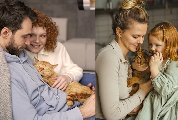 Suas habilidades de aprendizado e percepção sensorial aguçada são um diferencial. O comportamento independente, curioso e teimoso também é uma característica marcante.