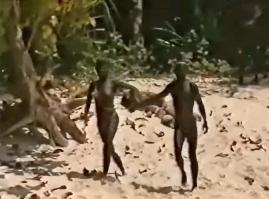 Os precários registros de contatos com a tribo nativa dão conta de que a vida dos sentineleses é bastante primitiva. 