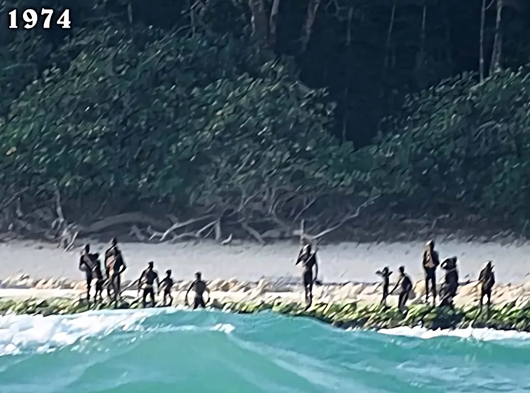 A estimativa é de que a população sentinelesa não passe de 200 pessoas. Eventuais contatos com estrangeiros poderiam dizimar o povo por doenças devido à falta de imunidade. 