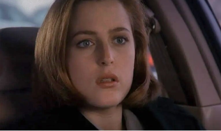 Gillian Leigh Anderson nasceu em Chicago, no dia 9 de agosto de 1968, sendo eleita, em 1997, pela revista People como uma das 50 Pessoas Mais Bonitas do Mundo. A atriz tem três filhos: Oscar, Felix Griffiths e Clyde Klotz e mora em Londres, atualmente.