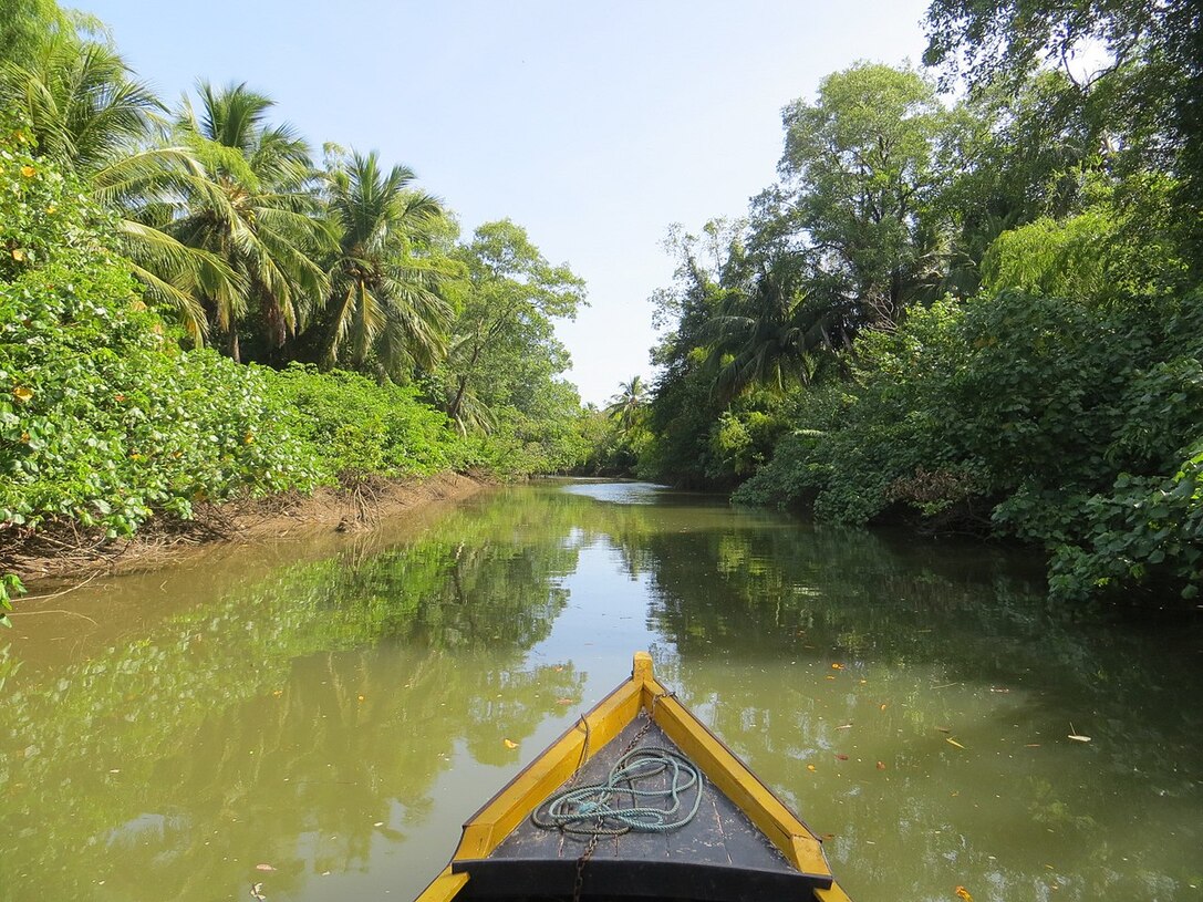 A Ilha de Marajó está localizada na Área de Proteção Ambiental do arquipélago do Marajó, no estado do Pará, na parte norte do Brasil.