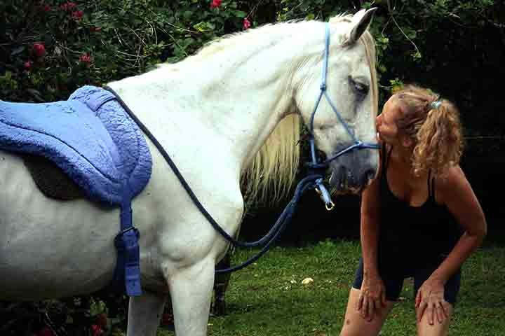 A pesquisa sugere que essa habilidade está ligada à domesticação, permitindo que os cavalos interpretem o comportamento humano.