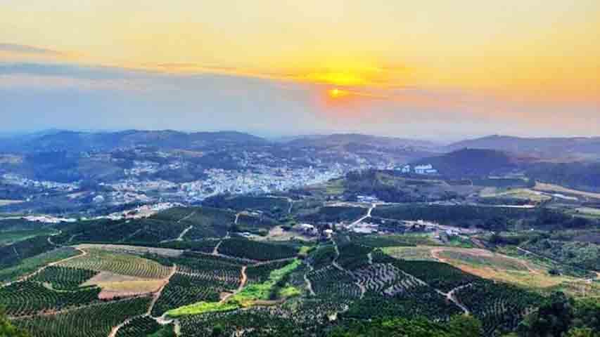 A chegada de italianos teve início em 1887 e até os dias atuais Serra Negra tem em seu calendário festas e tradições associadas à cultura italiana.

