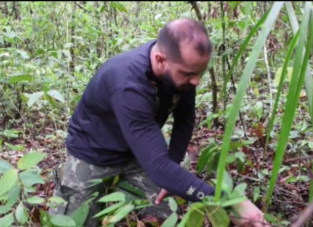 Ela disse que, enquanto em alguns locais, os pesquisadores ouvem vários sapos cantando, há lugares - principalmente na região centro-sul do estado - onde apenas um ou outro é ouvido. Às vezes, nenhum