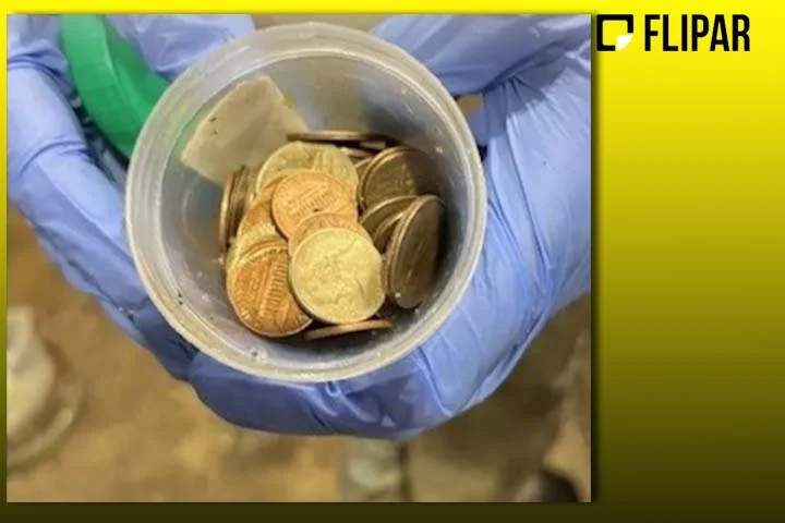 No procedimento, a equipe recorreu a uma câmera e retirou com sucesso cerca de 70 moedas das entranhas do jacaré.
