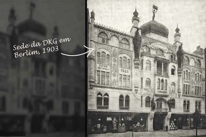 No local, não existe uma única árvore ao longo dos mais de mil quilômetros de costa. Dessa forma, além dos arbustos, outra atração biológica da costa dos esqueletos são os líquens, que ocorrem com grande abundância e diversidade.