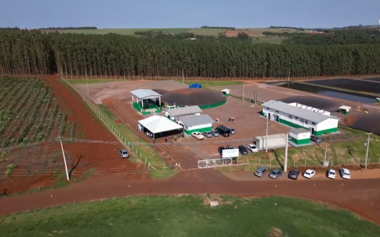 A matéria prima vem de 15 produtores da região que possuem 41 mil suínos.