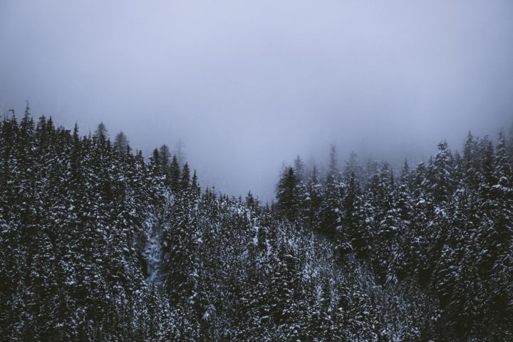 Eles desapareceram em um suposto acidente de avião enquanto viajavam de Anchorage para Juneau. Apesar de quase 40 dias de busca, nenhum destroço ou corpos foram encontrados.
