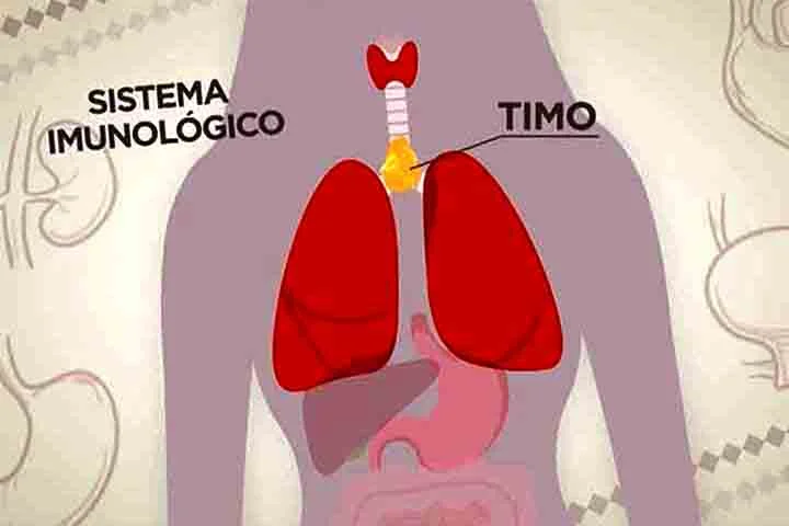 Quando tinha 15 anos, Sabrina recebeu o diagnóstico de um tumor no timo, órgão linfático entre os pulmões e próximo ao coração que regula o sistema imunológico.