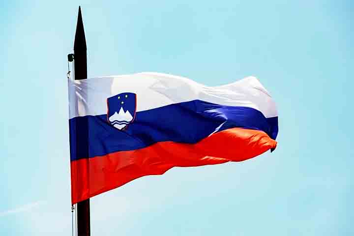 O turismo é uma atividade econômica relevante na Eslovênia, mas o setor com maior participação no Produto Interno Bruno (PIB) do país é a indústria.
