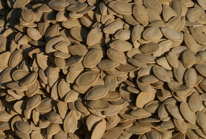 As sementes dos seus frutos são comestíveis, sendo utilizadas na culinária local e na alimentação animal.