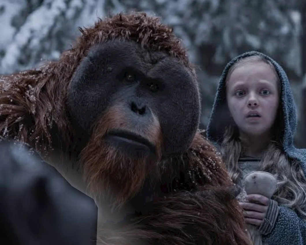 O macaco Maurice, querido do público na franquia O Planeta dos Macacos - uma espécie de conselheiro do líder Cesar - é um orangotango. E no filme sobre a guerra protege a menina encontrada na selva. 