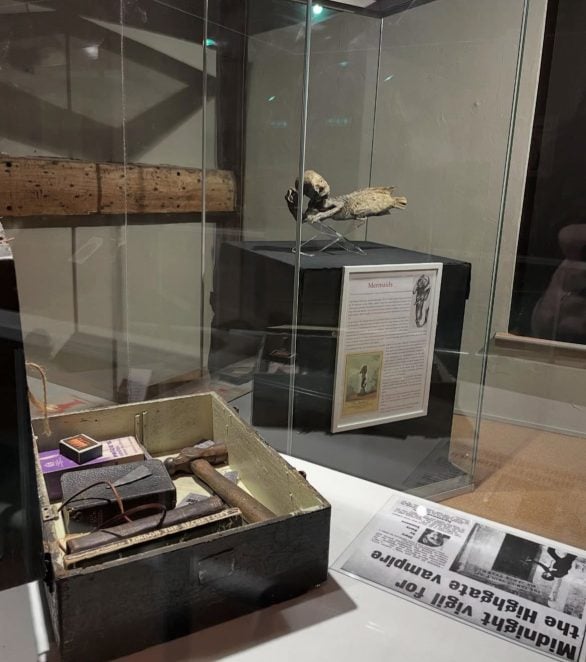 Um dos destaques é a coleção de relíquias relacionadas à infame história de bruxaria de Suffolk, incluindo objetos e documentos que remetem aos julgamentos e crenças populares da época.