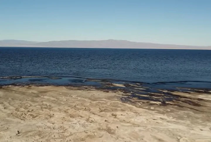 Diante disso, a Autoridade do Mar de Salton fez um alerta: se as ações para enfrentar esses problemas não forem reforçadas, a região pode ficar inabitável, tanto para pessoas quanto para animais.