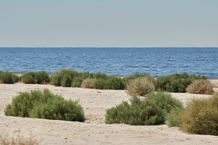 Esse incidente criou um dos lagos mais singulares do estado, mas também trouxe problemas ambientais que persistem até hoje.