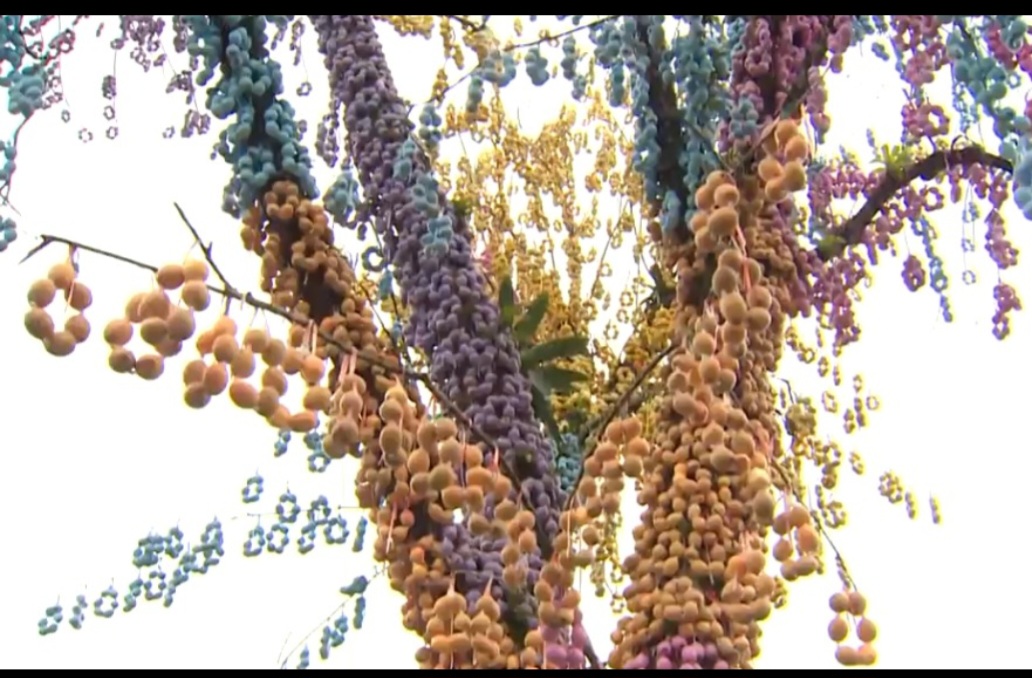 Esta árvore, por exemplo, tem 85 mil casquinhas. O clima na cidade na Semana Santa equivale ao Natal em outras cidades que investem na data para celebrações. Assim, a Páscoa torna-se um grande atrativo turístico em Pomerode.  