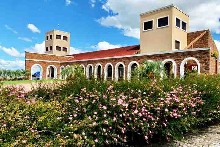 Na Campanha Gaúcha, a Vinícola Guatambu, em Dom Pedrito (RS), promove o “Dia Épico”, com tour guiado, almoço harmonizado e música tradicionalista. Os pratos incluem cortes como bife ancho e cordeiro, feitos na parrilla com carnes da própria estância.