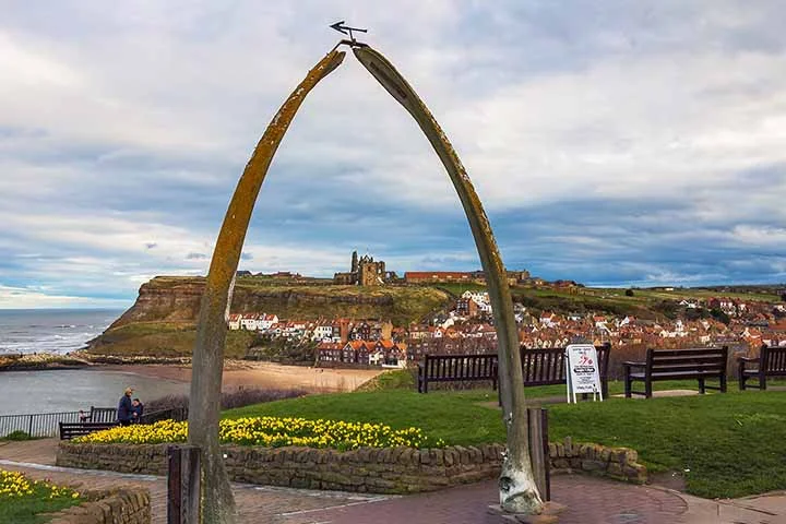 Ele fica em frente à Christ Church Cathedral, compondo uma das imagens mais fotografadas das ilhas. Representa não apenas a importância histórica da caça às baleias na região, mas também o forte vínculo cultural entre os moradores e o oceano.