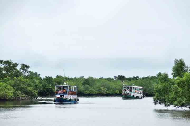 Khulna é conhecida por sua indústria de pesca e pelo porto de Mongla, que é o segundo maior do país. A cidade também está próxima da Floresta de Sundarbans, um dos maiores manguezais do mundo e lar do tigre-de-bengala.