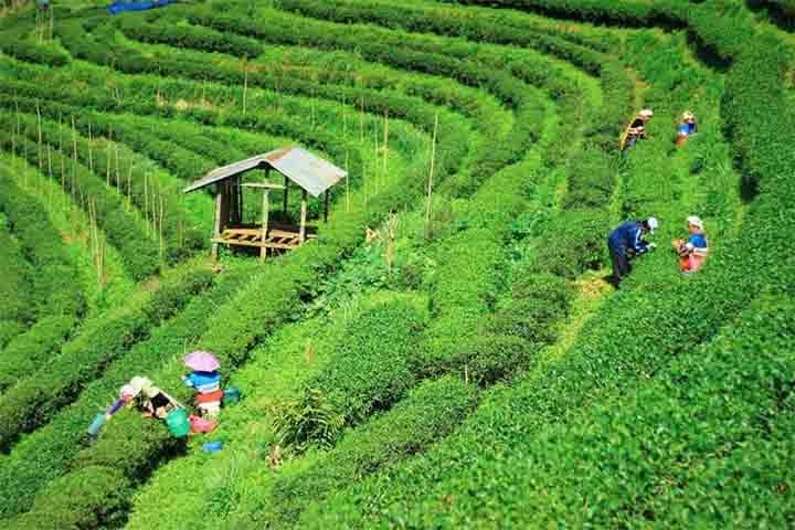 Apesar dos desafios políticos e sociais, Bangladesh conseguiu alcançar um crescimento econômico notável nas últimas décadas. O país passou de uma economia fragilizada para uma nação emergente, com crescimento médio anual de 6%. Setores como a indústria têxtil, exportações e investimentos estrangeiros impulsionaram essa ascensão.