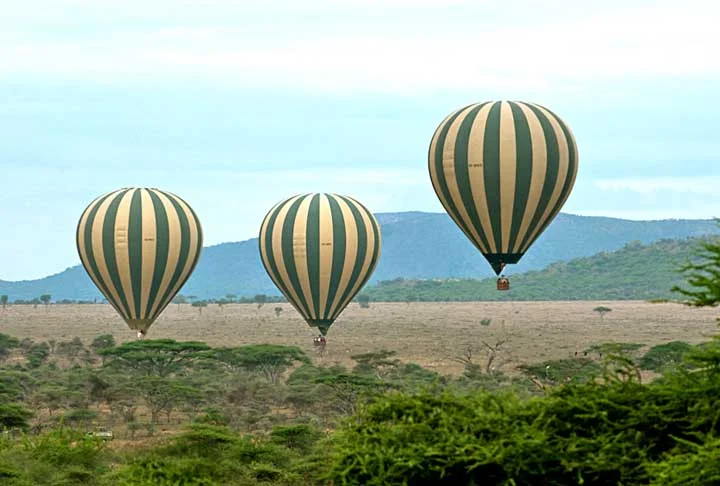 A Tanzânia figura na lista dos menores salários mínimos do mundo (em quinto), com um salário mínimo variável baseado no setor. No seu valor mais baixo, mesmo após a atualização em 2024, o salário mínimo na Tanzânia é de 60.000 TZS (Shilling da Tanzânia), o que equivale a cerca de $23,59 mensais.