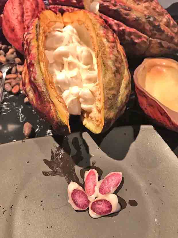 Esse tipo possui 47,3% de cacau – o mesmo teor de um chocolate do tipo meio amargo.