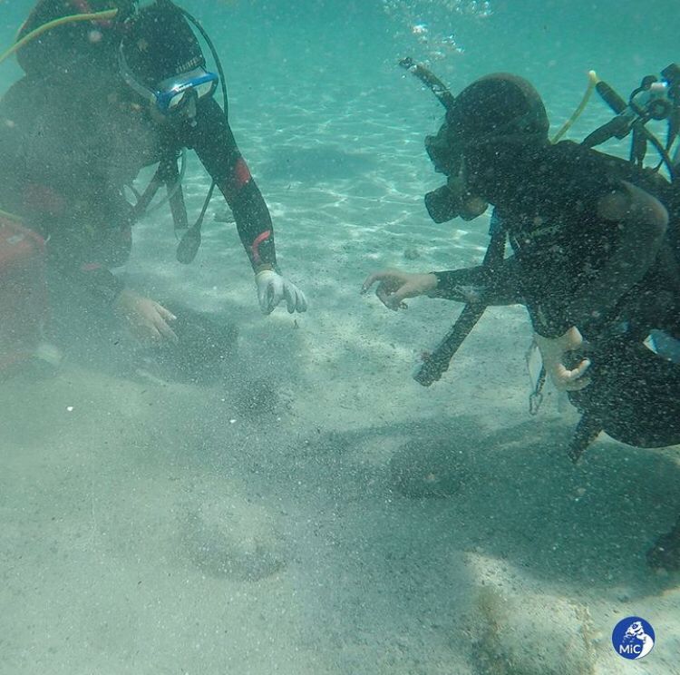 Segundo o Ministério da Cultura da Itália, o mergulhador notou um brilho metálico a poucos metros de profundidade, não muito longe da costa, e informou imediatamente as autoridades.