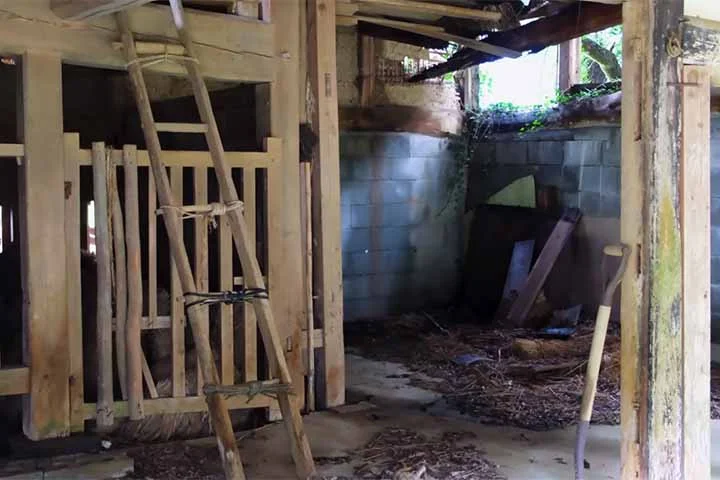 De acordo com dados do Ministério de Assuntos Internos e Comunicação do Japão, 14% dos imóveis residenciais do país estão às moscas. 

