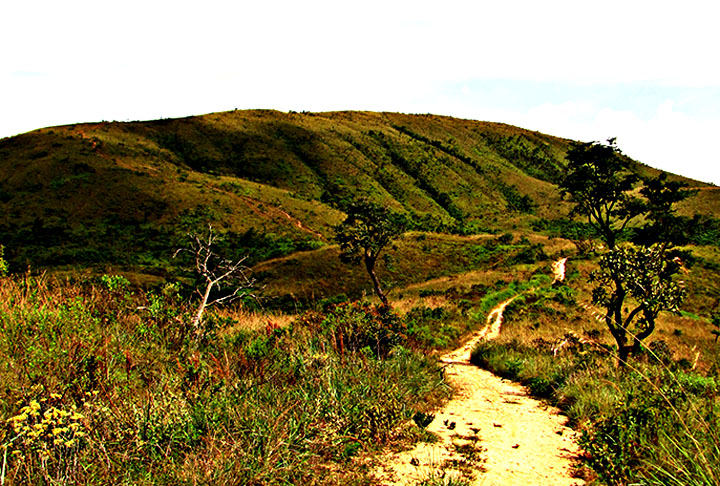 O Parque Estadual tem uma área de 1.927,70 hectares, algo em torno de 19,3 km² , entre as cidades de Caieiras e Franco da Rocha. É uma área de preservação ambiental, única remanescente de Cerrado nas redondezas. 
