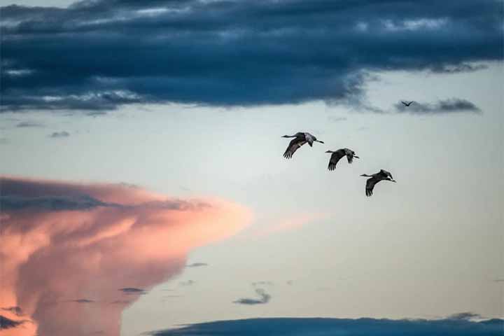 O fotógrafo diz que a atividade o transformou pessoalmente, dando à experiência um caráter espiritual. 
