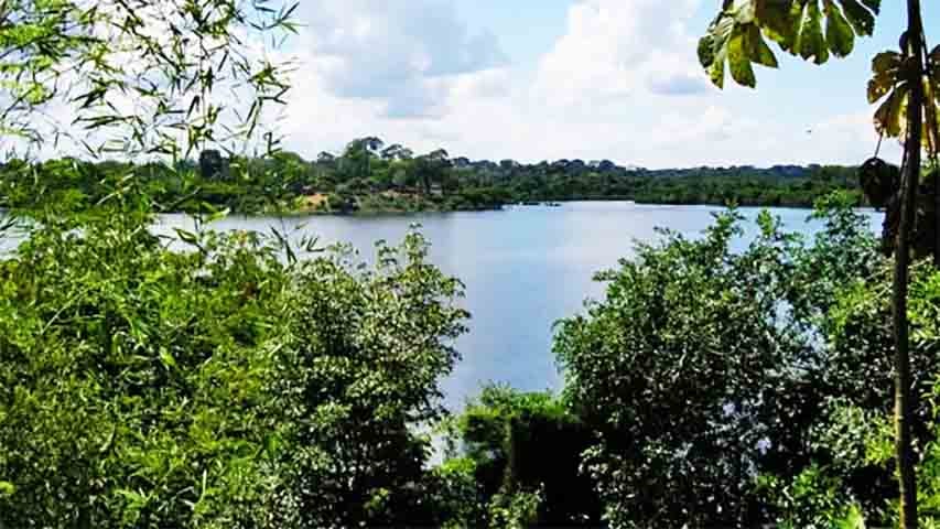 Lagos ajudam a filtrar sedimentos e poluentes, funcionando como uma espécie de “rim” do ambiente. Eles retêm nutrientes, metais pesados e outros resíduos antes que cheguem a rios ou ao mar.