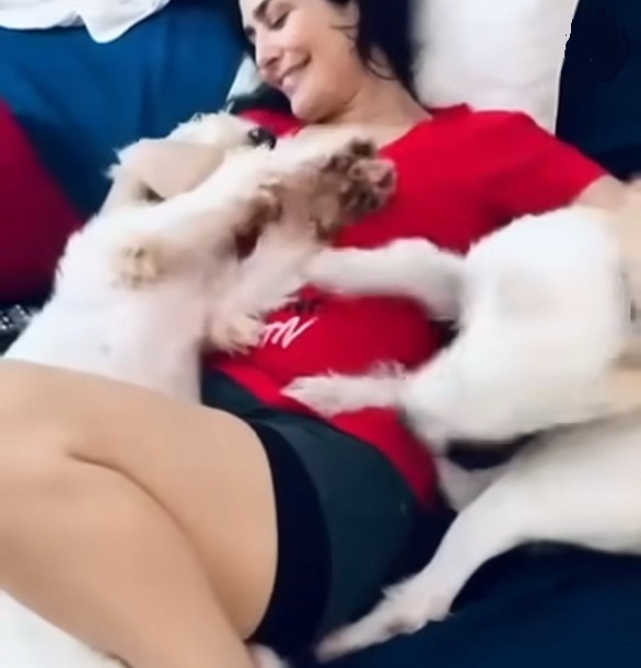 O casal afirma que nunca autorizou a ação e que chegou a expressar o desejo de continuar com os animais. A veterinária se defendeu, dizendo que fez a coisa certa.