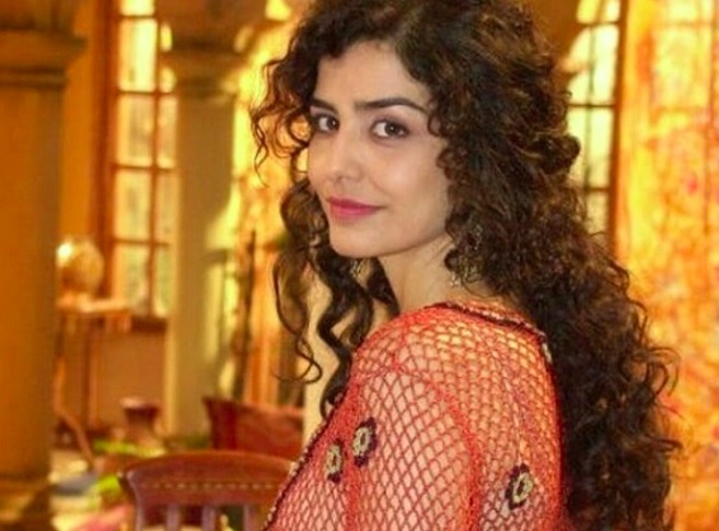 Entre seus trabalhos mais notáveis estão as novelas O Clone (2001), em que viveu a personagem Latiffa.