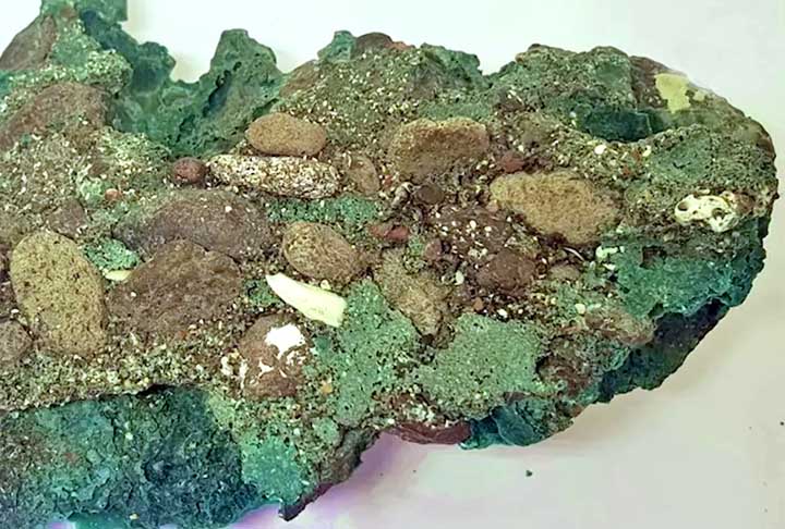 E foi curioso, porque eu não fazia ideia do que se tratava. Após fazer as coletas dos detritos plásticos na ilha, trouxe para o Laboratório de Estudos Costeiros da UFPR, acrescentou a geóloga, que teve apoio de uma equipe multidisciplinar da USP e da UFRGS.